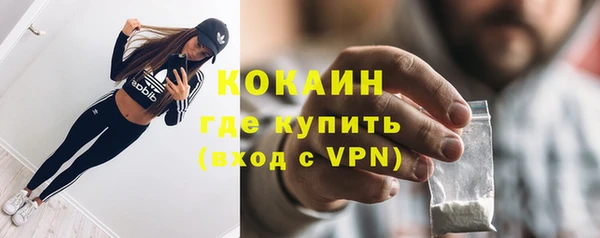 гидра Михайловка
