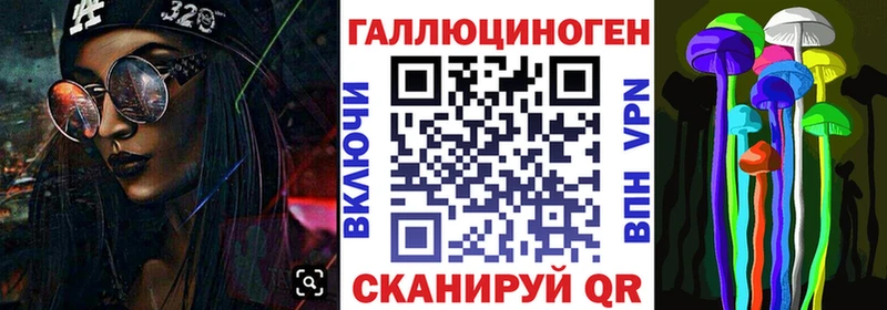 Псилоцибиновые грибы GOLDEN TEACHER  shop наркотические препараты  Кудымкар  блэк спрут онион 